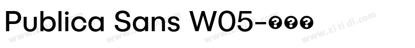 Publica Sans W05字体转换